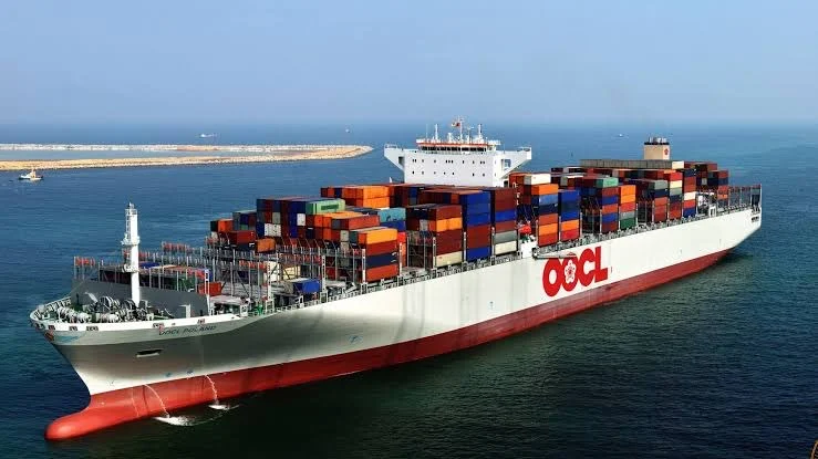 MSC Cargo